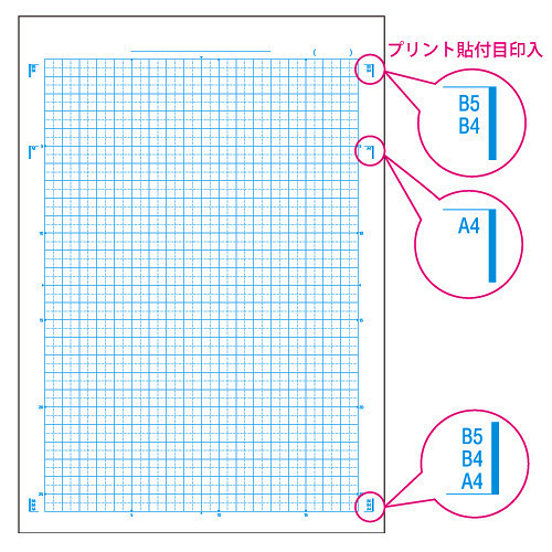 カレッジアニマル学習帳 5mm方眼ノート 算数 日本ノート株式会社